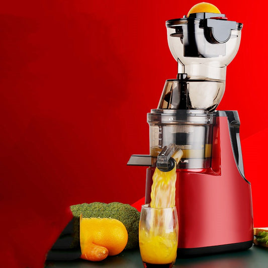 Masticating Juicer Machine