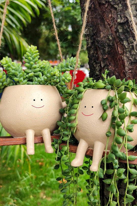 Swing Face Hanging Flower Pot