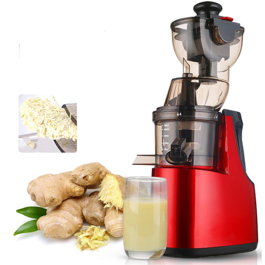 Masticating Juicer Machine