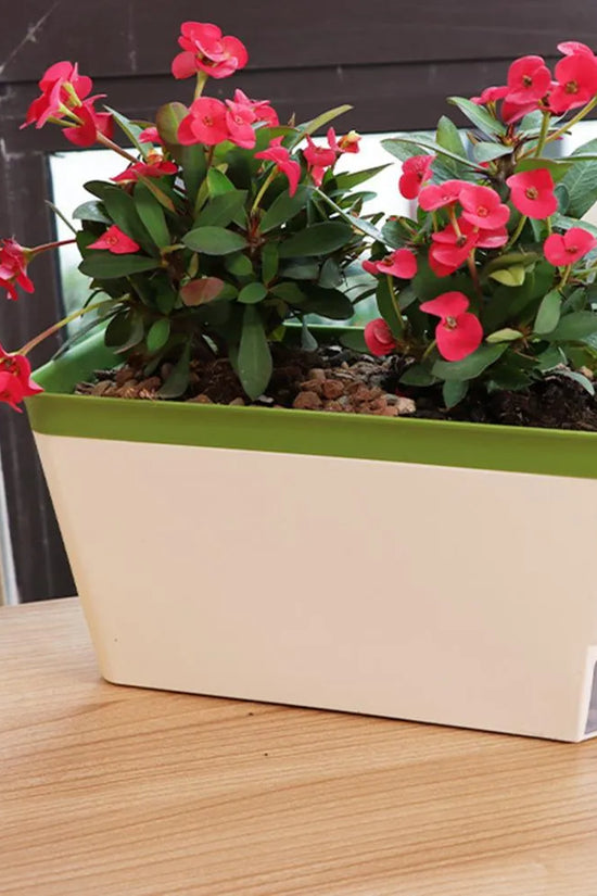 Aqua Layer Rectangular Self-Watering Planter